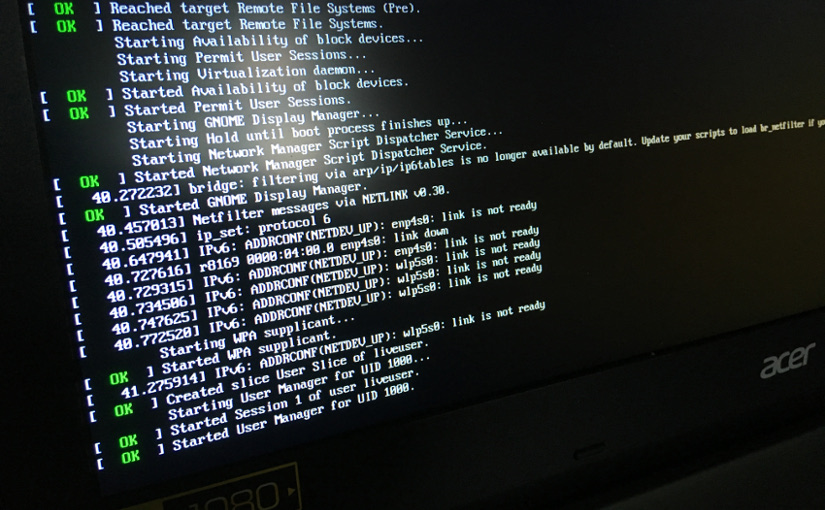 Linux Live Installer freezing during boot (after Started User Manager for UID 1000)